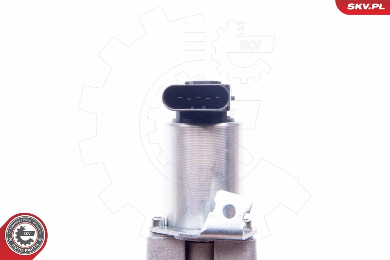 EGR Valve 14SKV186