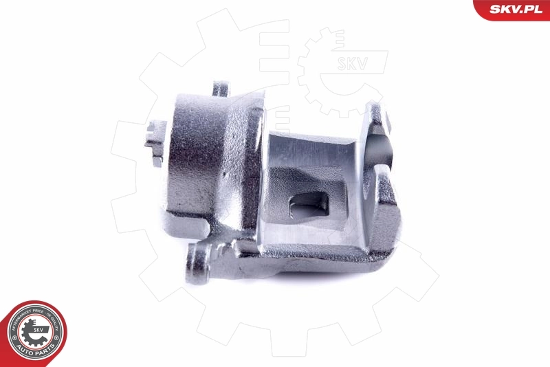 Brake Caliper 55SKV062