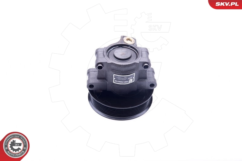 Hydraulic Pump, steering 10SKV101