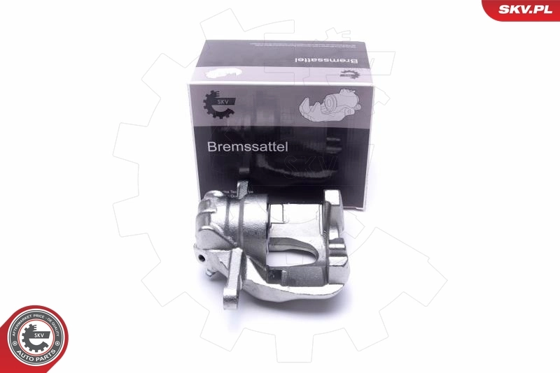 Brake Caliper 55SKV701
