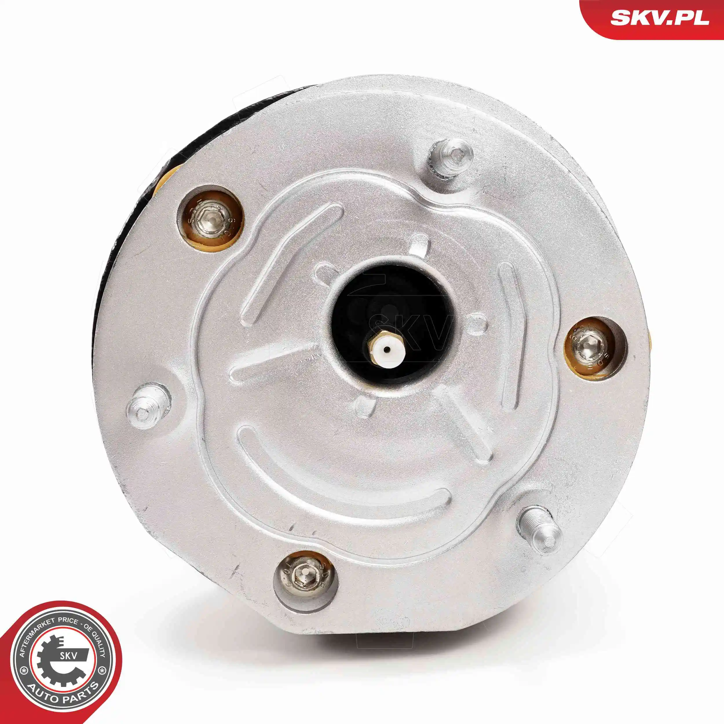 Air Suspension Strut 58SKV725