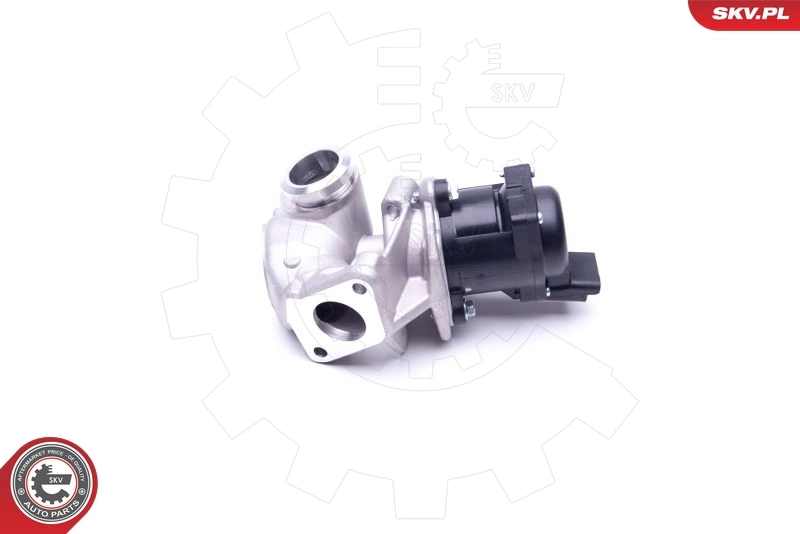 EGR Valve 14SKV202