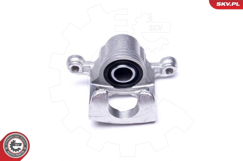 Brake Caliper 46SKV194