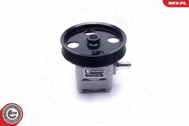 Hydraulic Pump, steering 10SKV293