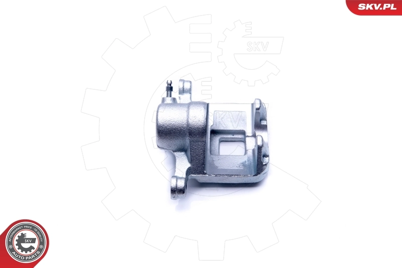 Brake Caliper 42SKV773