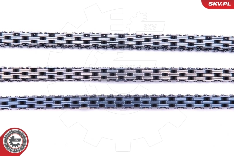 Timing Chain Kit 21SKV175