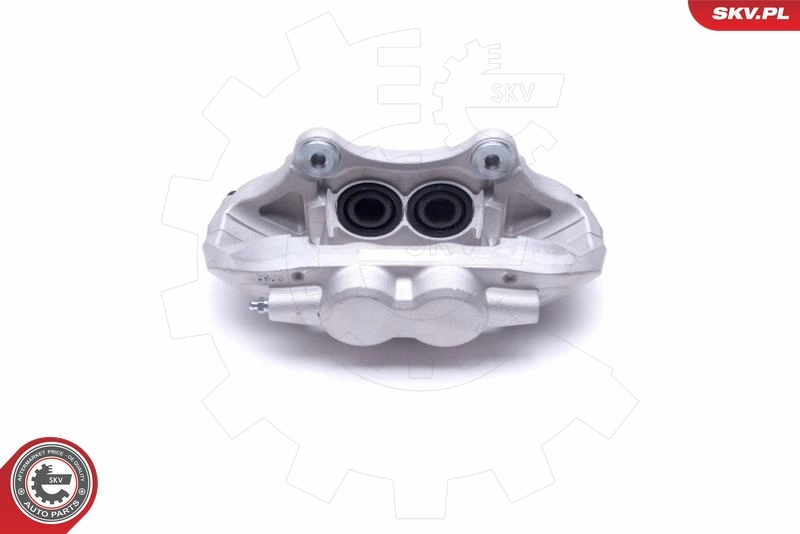 Brake Caliper 55SKV902