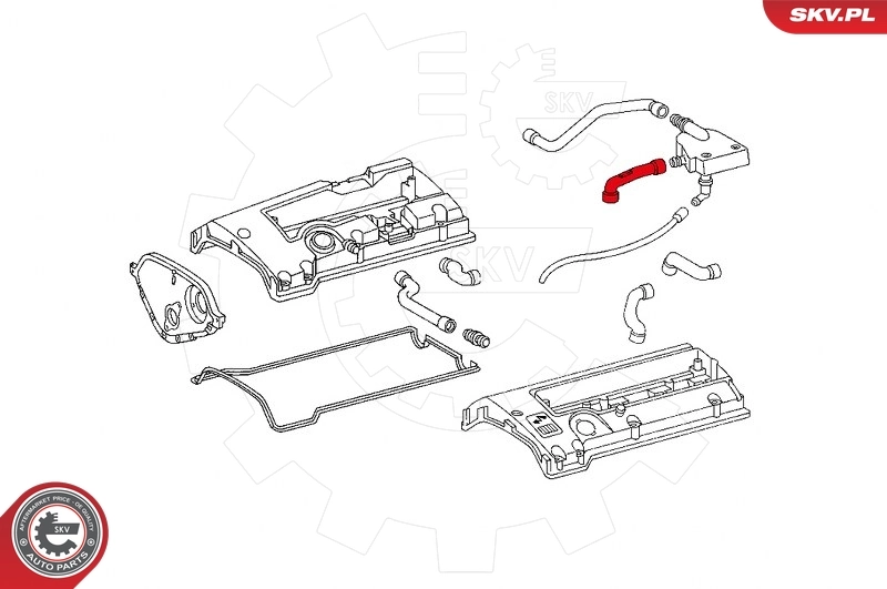Hose, crankcase ventilation 31SKV126