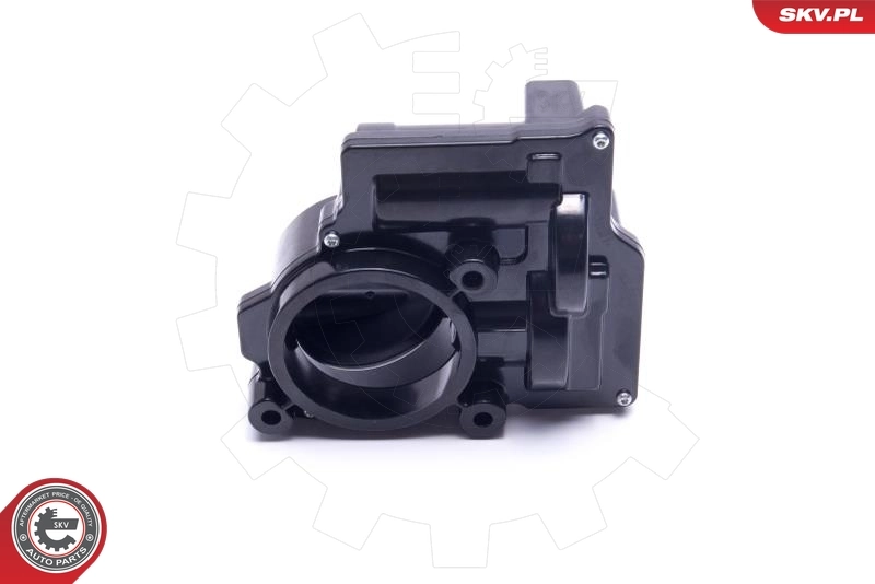 Throttle Body 12SKV107