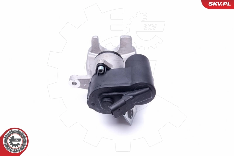 Brake Caliper 46SKV893