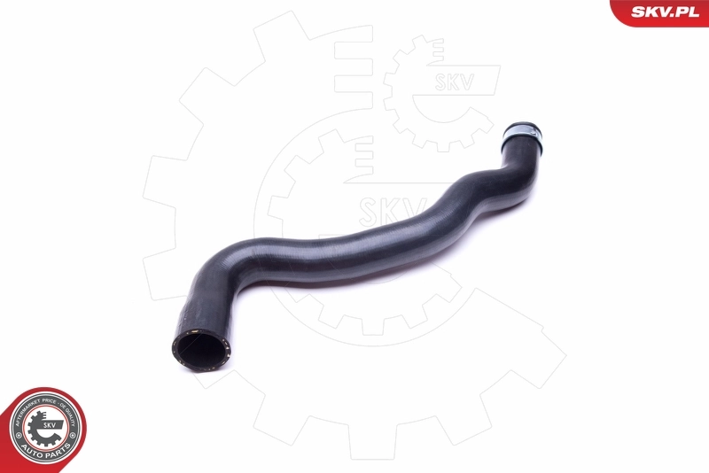 Radiator Hose 43SKV653