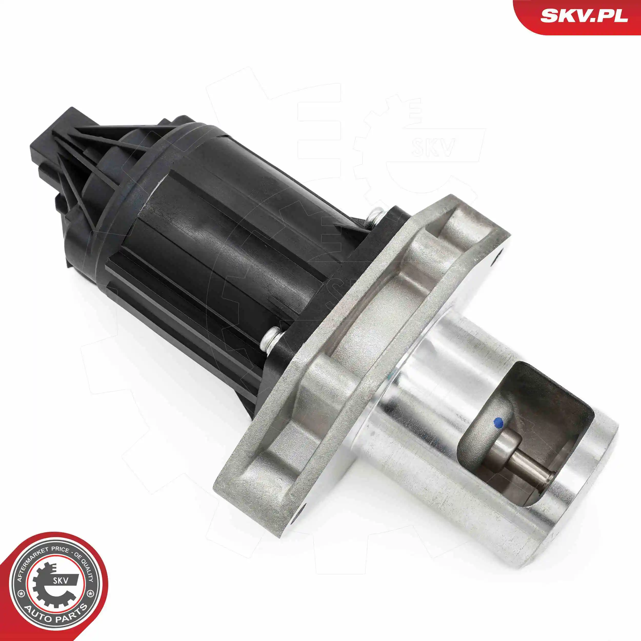 EGR Valve 14SKV284