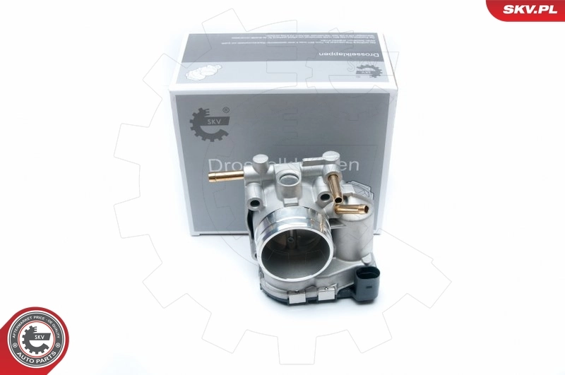 Throttle Body 12SKV045