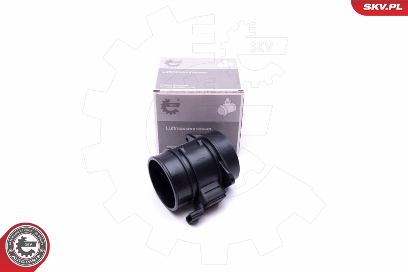 Mass Air Flow Sensor 07SKV177