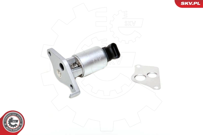 EGR Valve 14SKV013