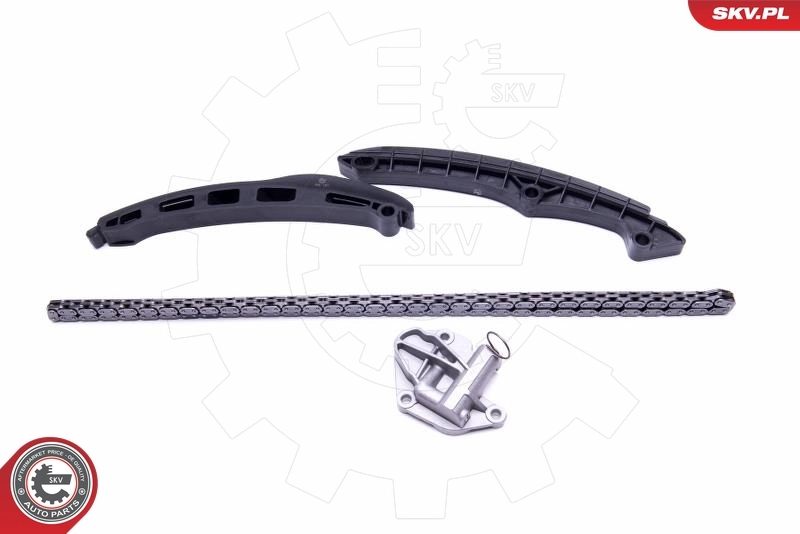 Timing Chain Kit 21SKV148