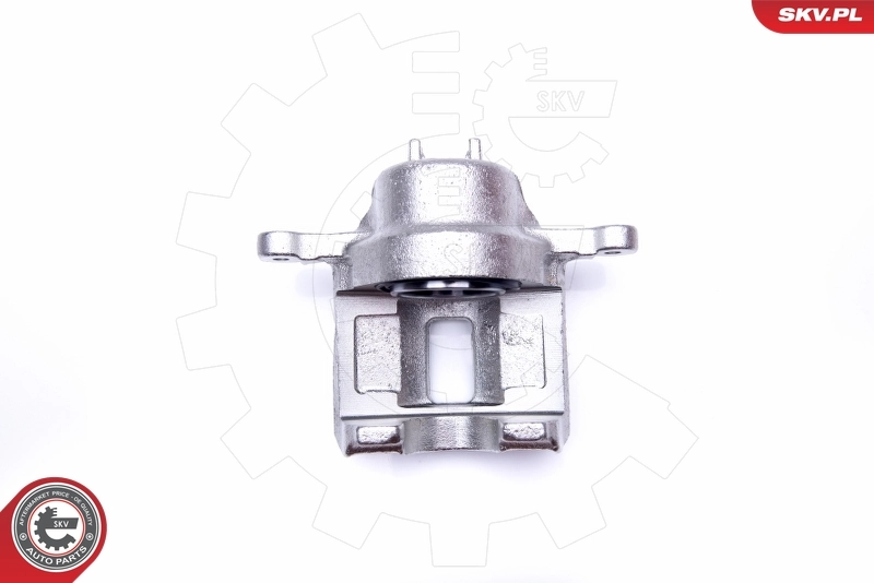 Brake Caliper 34SKV332