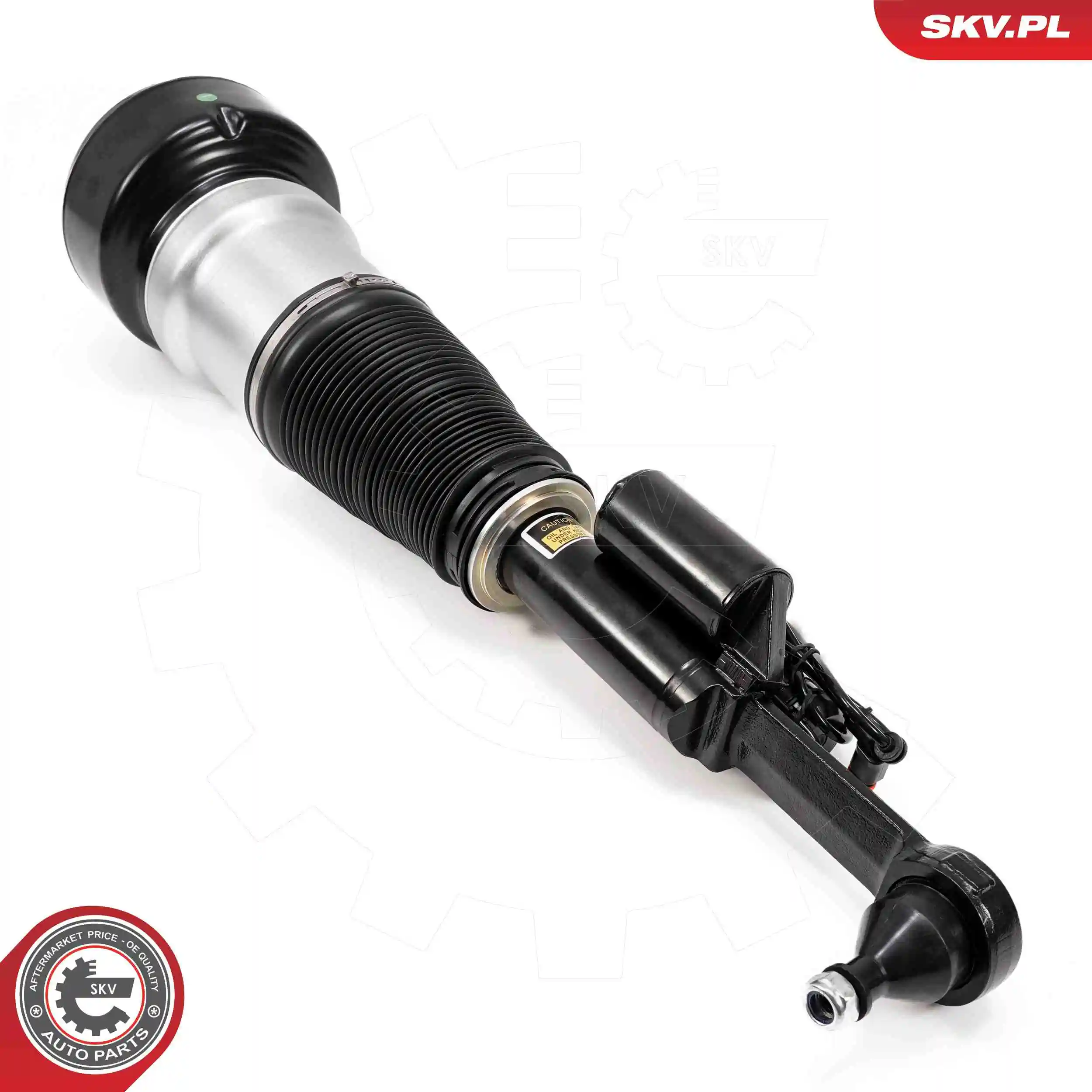 Air Suspension Strut 58SKV722