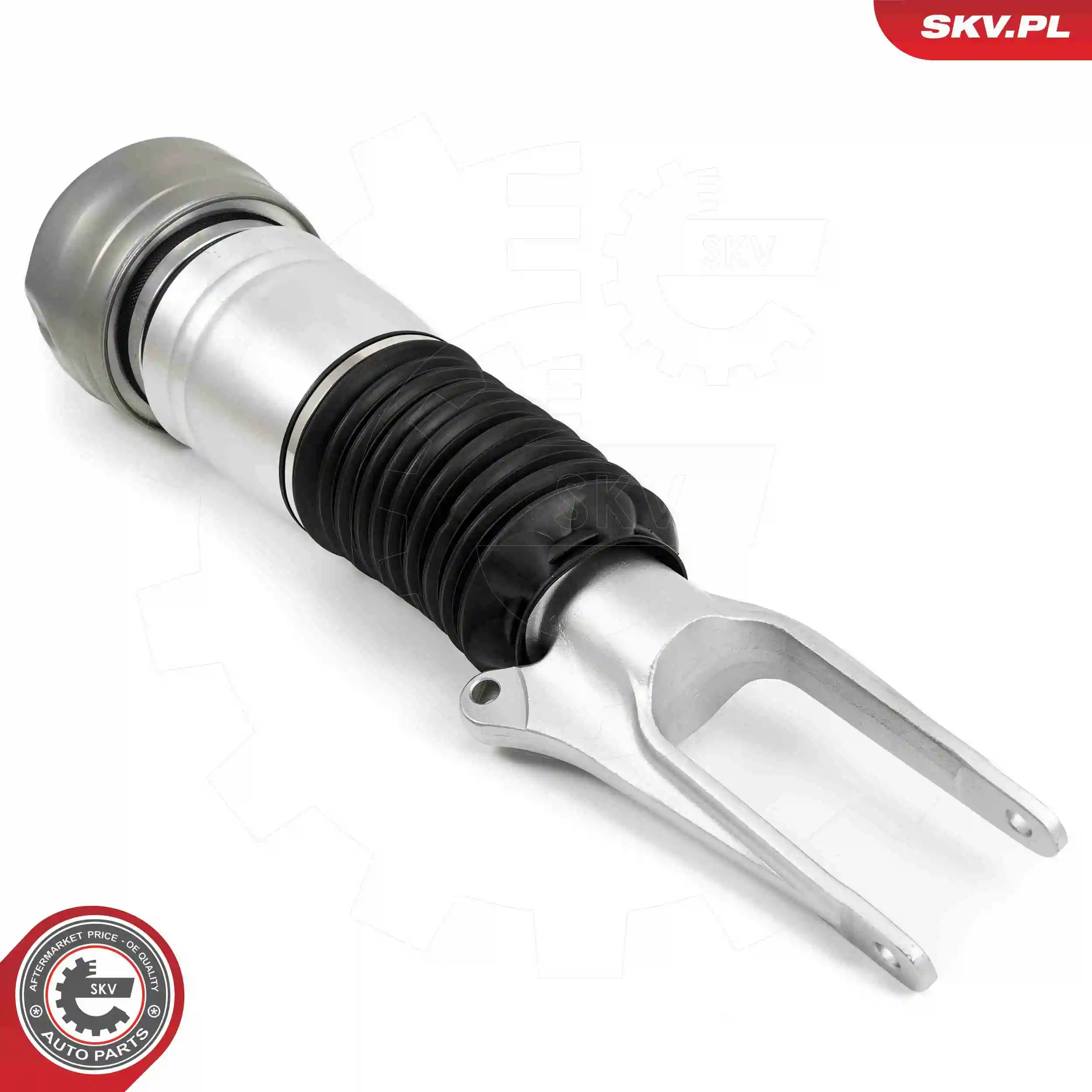 Air Suspension Strut 58SKV705