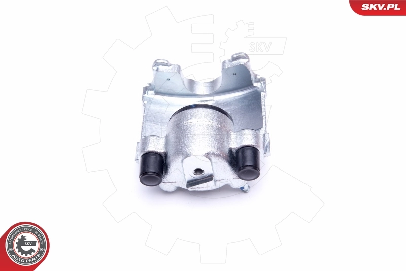 Brake Caliper 42SKV681