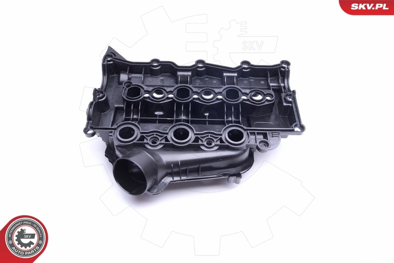 Intake Manifold Module 49SKV031
