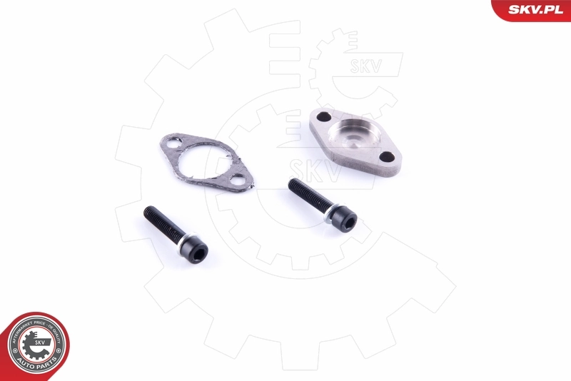 ESEN SKV 14SKV554 Repair Set, EGR valve