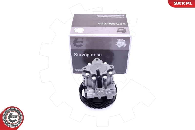 Hydraulic Pump, steering 10SKV241