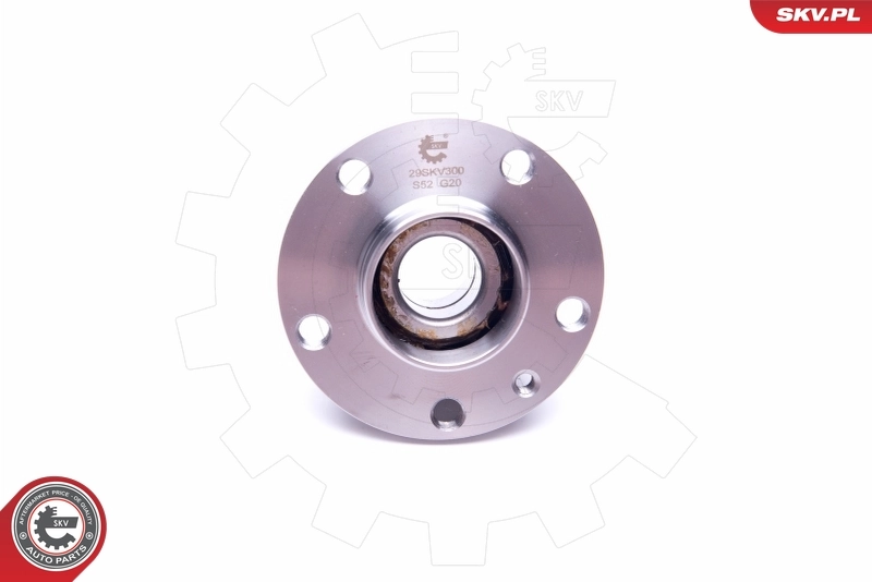 Wheel Bearing Kit 29SKV300