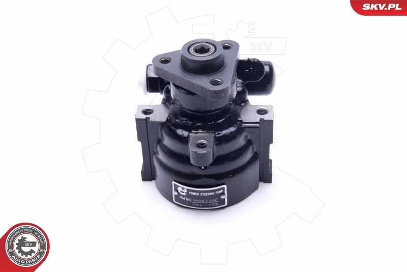 Hydraulic Pump, steering 10SKV302