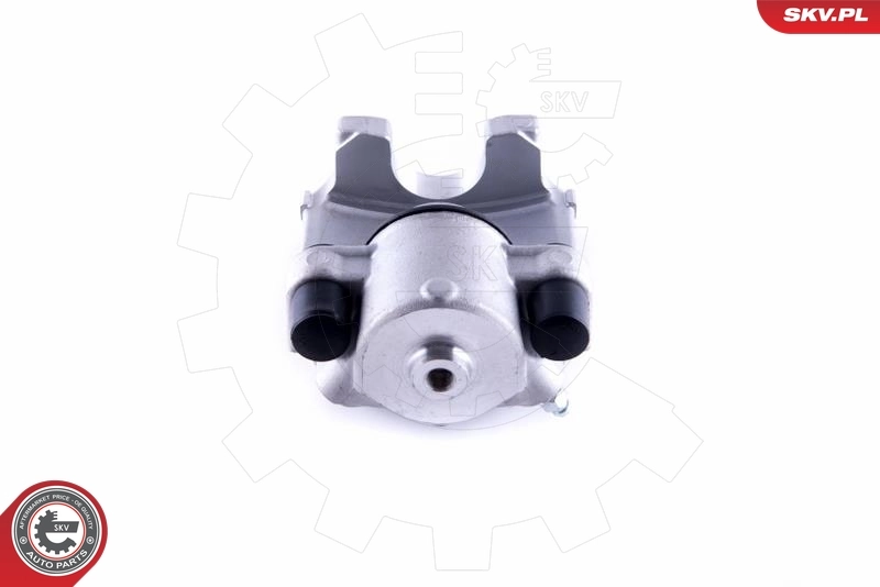 Brake Caliper 55SKV334