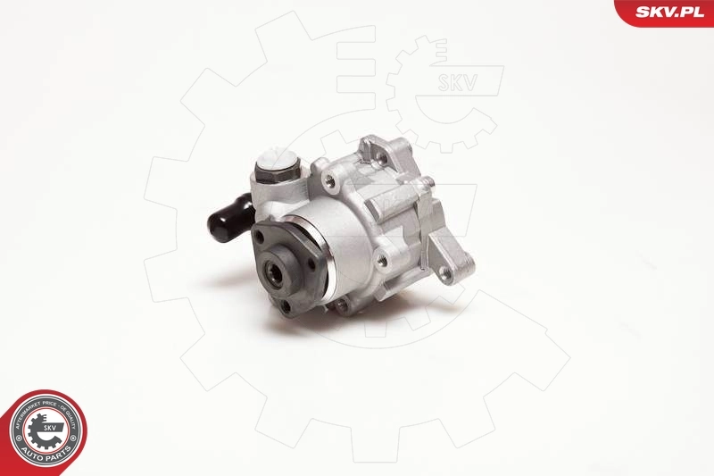 Hydraulic Pump, steering 10SKV124