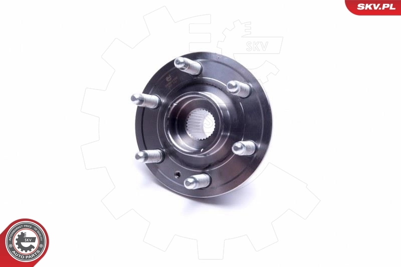 ESEN SKV 29SKV352 Wheel Bearing Kit