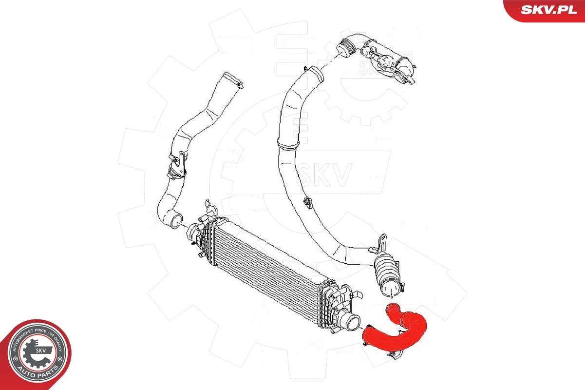 Charge Air Hose 54SKV008
