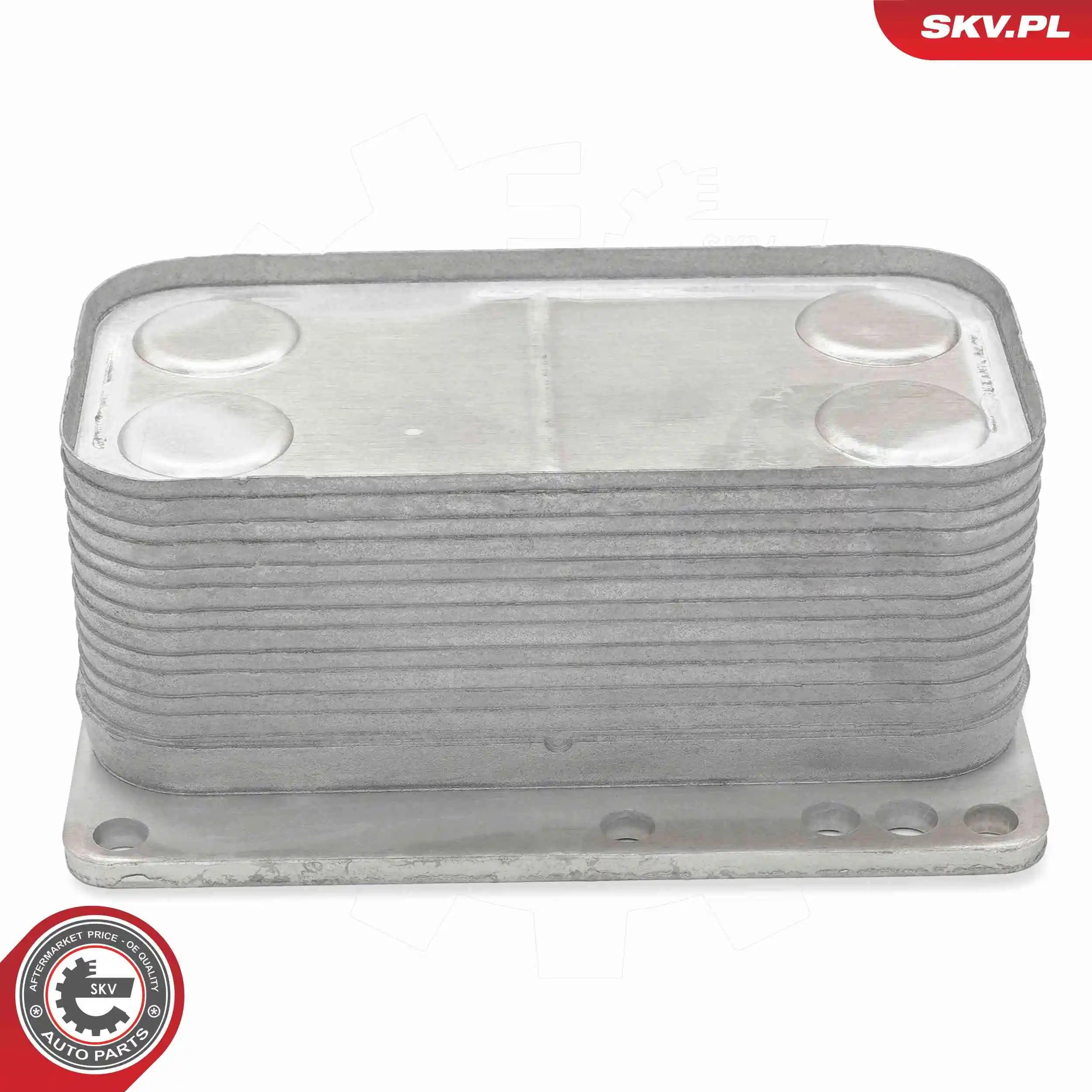 Oil Cooler, engine oil 31SKV343