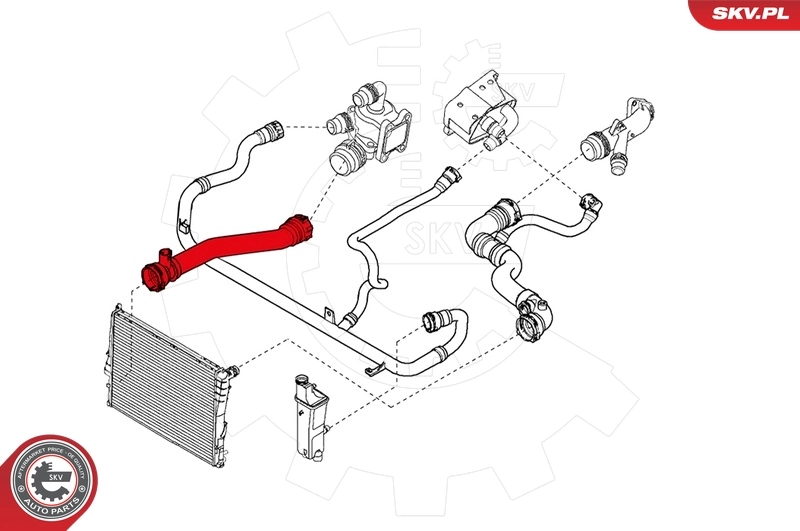 Radiator Hose 24SKV244