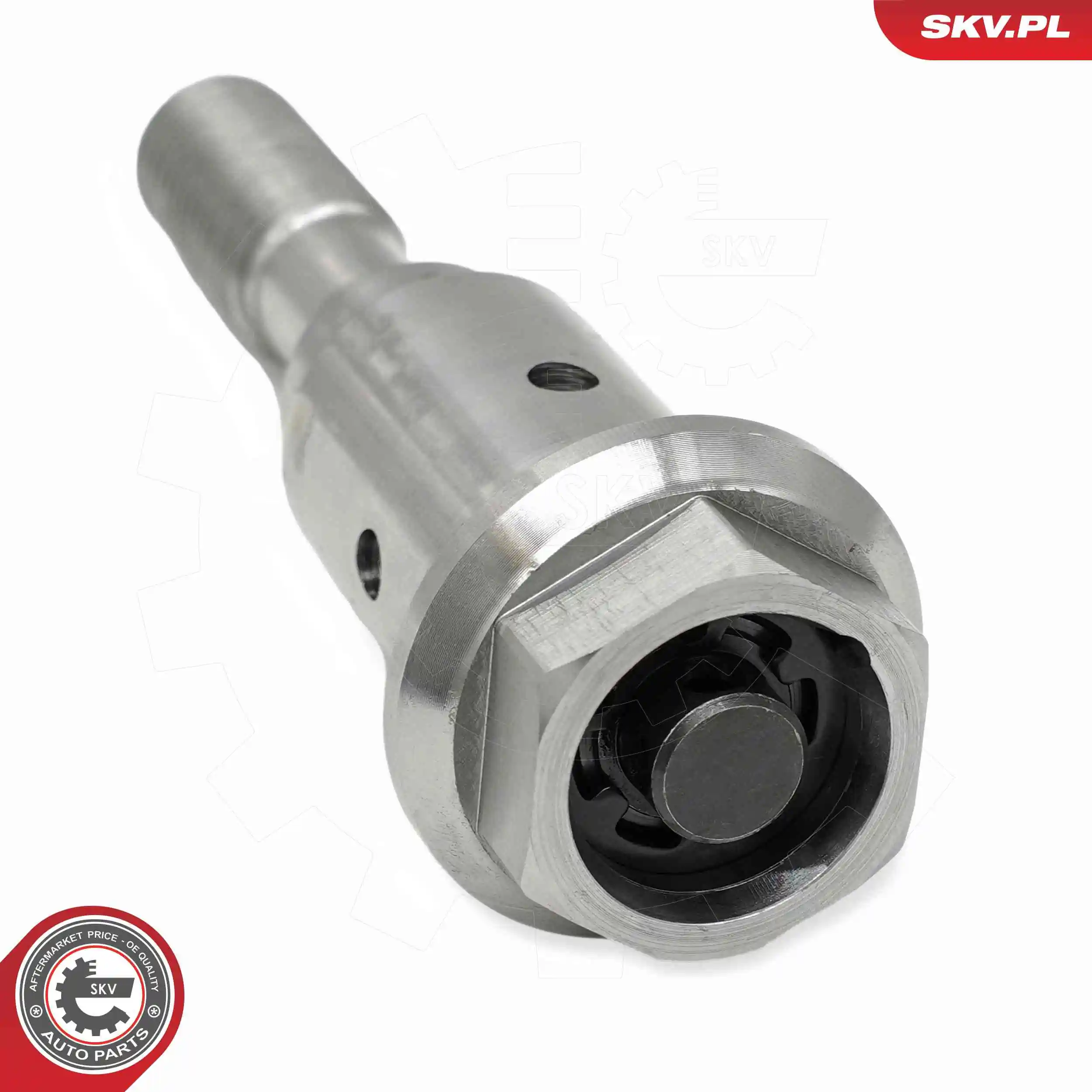 Control Valve, camshaft adjustment 39SKV073