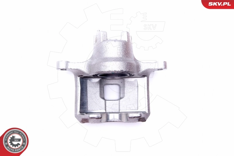 Brake Caliper 45SKV821