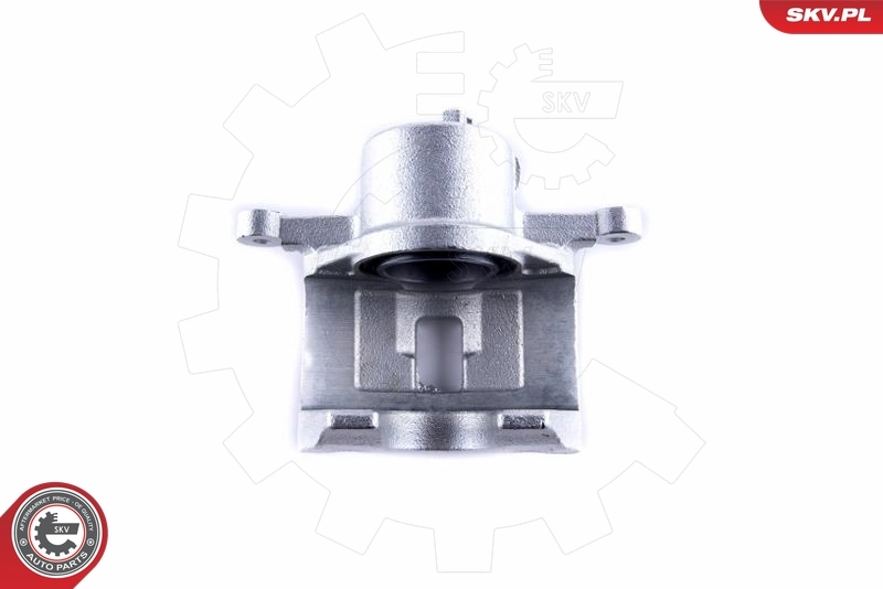 Brake Caliper 55SKV112