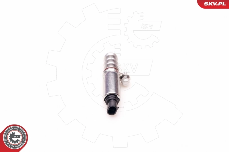 Control Valve, camshaft adjustment 39SKV002