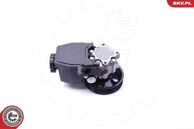 Hydraulic Pump, steering 10SKV269