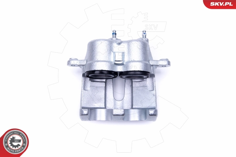 Brake Caliper 50SKV252