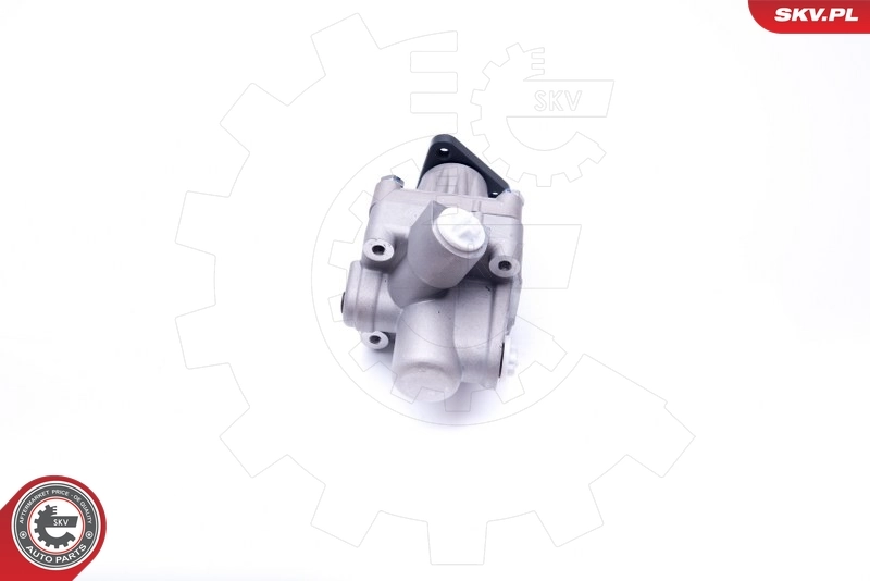 Hydraulic Pump, steering 10SKV245