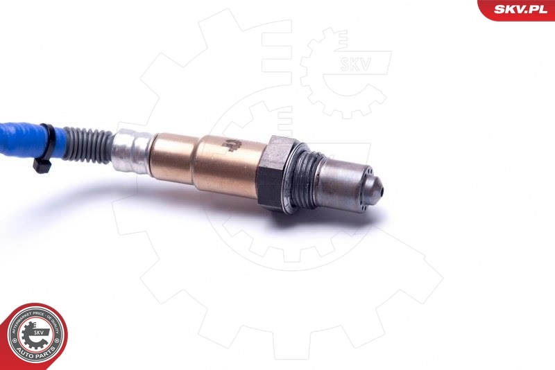 Oxygen Sensor 09SKV429