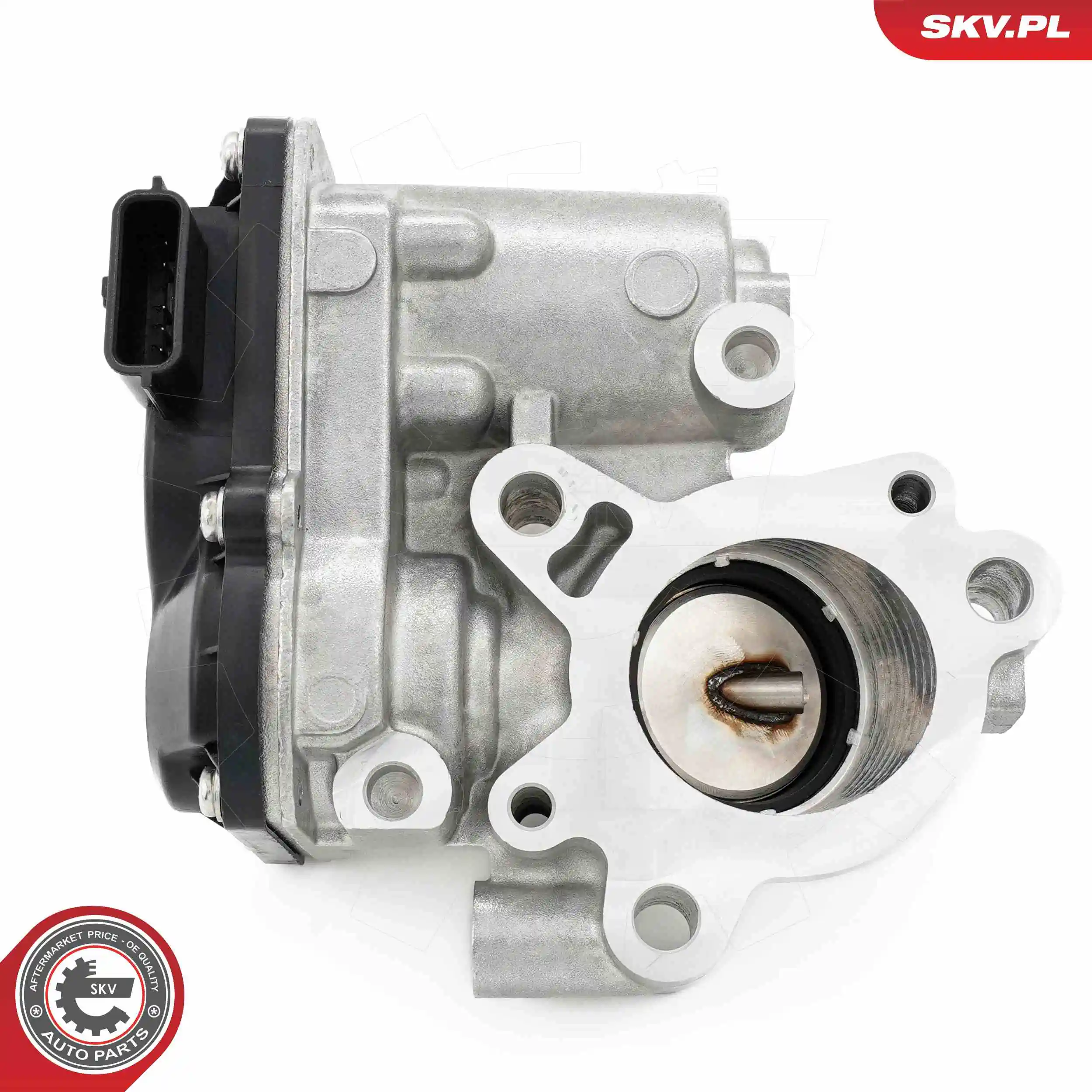 ESEN SKV 14SKV276 EGR Valve
