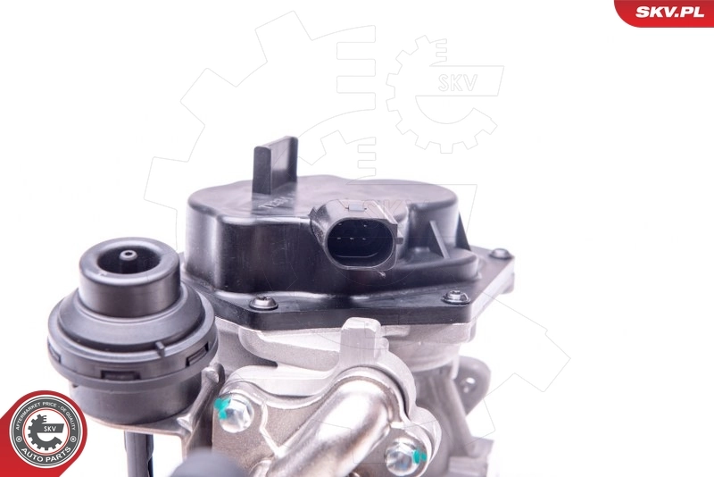 EGR Valve 14SKV154