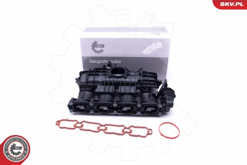 Intake Manifold Module 49SKV035