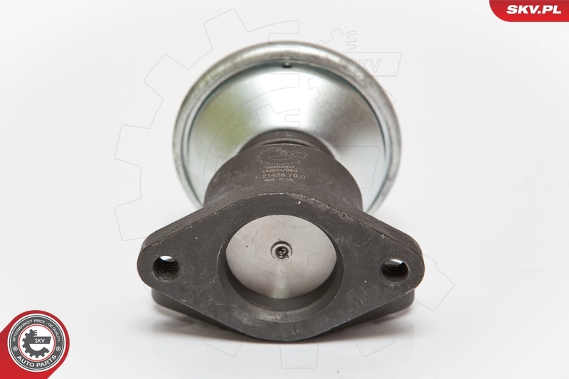 EGR Valve 14SKV051