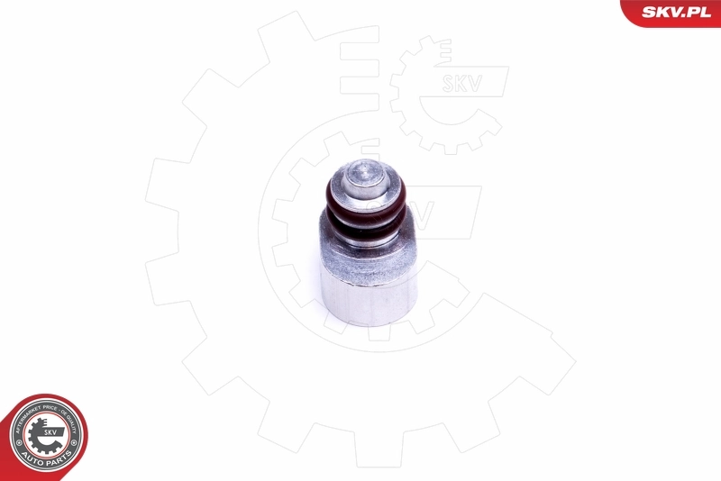 ESEN SKV 49SKV635 Repair Kit, intake manifold module