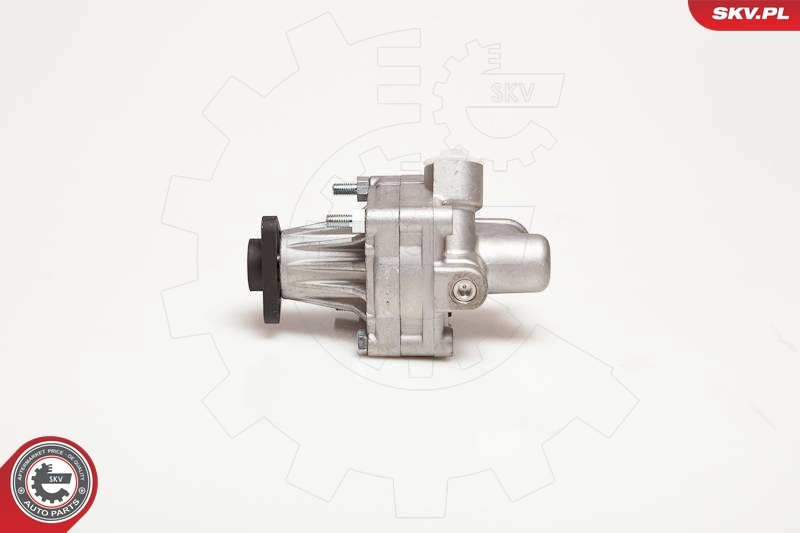 Hydraulic Pump, steering 10SKV005