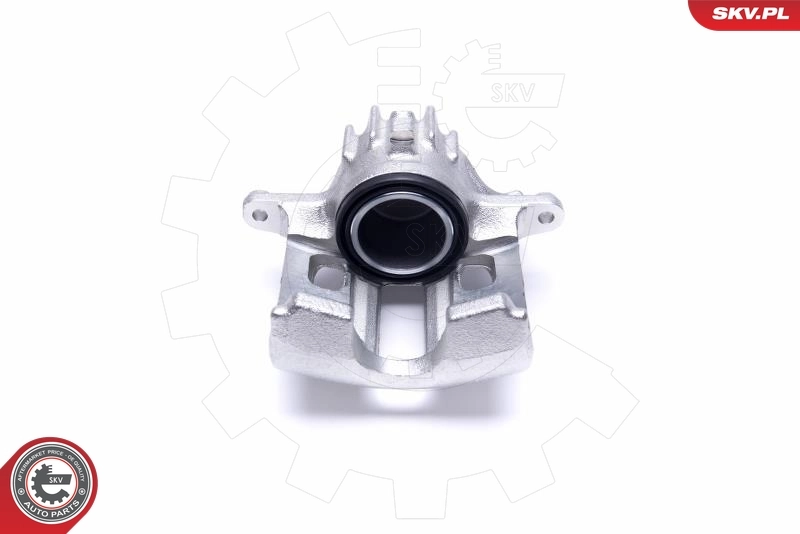 Brake Caliper 50SKV952